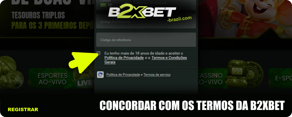 Aceite os termos de uso da B2xbet marcando a caixa